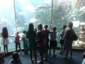 aquarium1